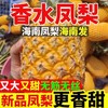 【买2斤送3斤到手5斤】海南金钻凤梨 香水凤梨 口口爆香！凤梨界的LV！新鲜水果10斤菠萝风梨当季香水菠萝整箱包邮大果-LC24GG3 商品缩略图0