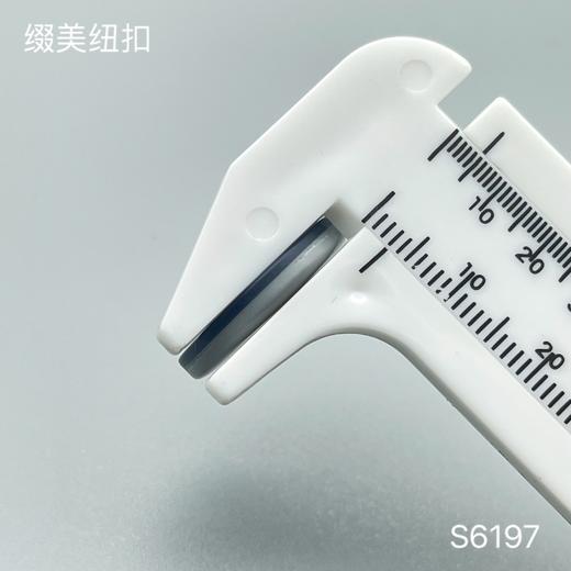 S6197(整包购买) 商品图4