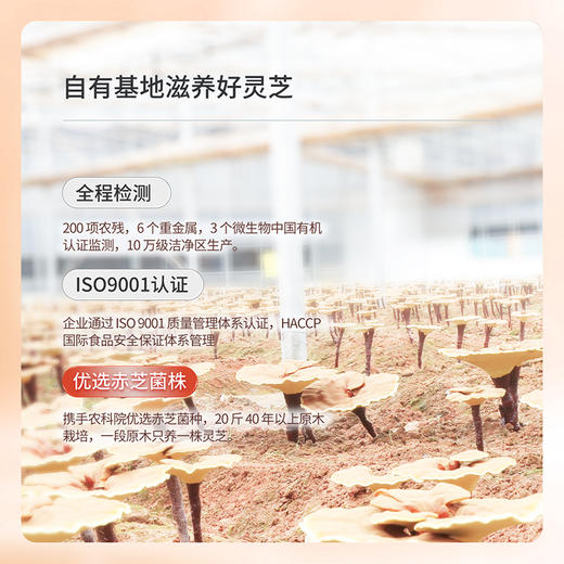青春宝破壁灵芝孢子粉胶囊增强免疫保健品 商品图3