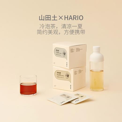 山田土×HARIO 冷泡瓶日式玻璃杯泡茶冷萃壶过滤网白茶冷泡冷萃杯 商品图0