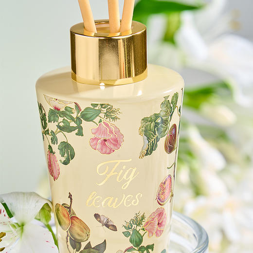 大英博物馆 博物志系列 苏里南 【蒹葭梦泽 【无花果叶】 香薰蜡烛 香氛套装礼盒 商品图3