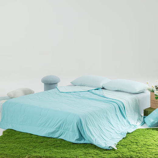 【多样屋专柜】多样屋天丝夏凉被可机洗冰丝被子被芯空调被 商品图1