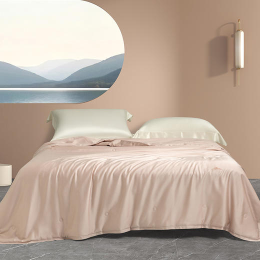 【多样屋专柜】多样屋100%天丝麻蚕丝被夏凉被空调被子双人夏季春秋可机洗夏被芯 商品图4