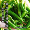 【传说中的天价辣椒】一大口定制｜湖南樟树港辣椒  清香微辣无渣 商品缩略图0