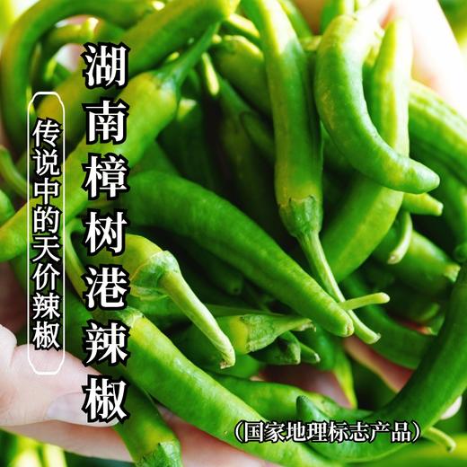【传说中的天价辣椒】一大口定制｜湖南樟树港辣椒  清香微辣无渣 商品图0