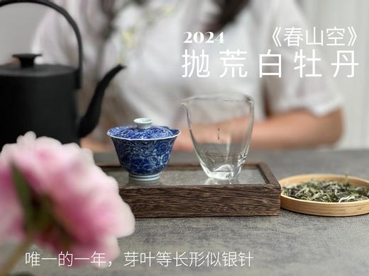 【2024春茶来了】2024抛荒白牡丹《春山空》，干茶长相酷似白毫银针，有史以来等级zui高的抛荒白牡丹 商品图7