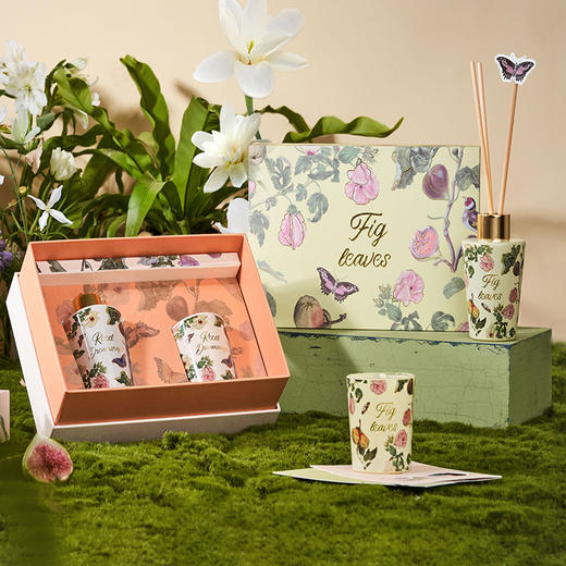 大英博物馆 博物志系列 苏里南 【蒹葭梦泽 【无花果叶】 香薰蜡烛 香氛套装礼盒 商品图1