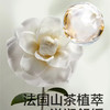 （4包）【暂无货】babycare 山茶轻柔婴儿纸尿裤 纸尿裤拉拉裤 NB/S/M/L/XL/XXL码 宝宝尿不湿 4包 商品缩略图3