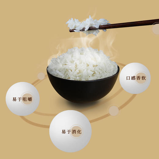 挂绿 增城丝苗米礼盒装5kg*1 商品图1