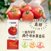 【代发 】一甸园纯蔬菜汁番茄汁直榨营养补充饮料200ml*10盒 商品缩略图2