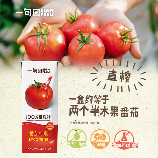 【代发 】一甸园纯蔬菜汁番茄汁直榨营养补充饮料200ml*10盒 商品图2