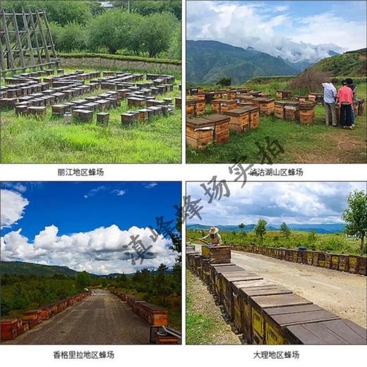 【助残商品】丽江滇峰高原蜂蜜 商品图2