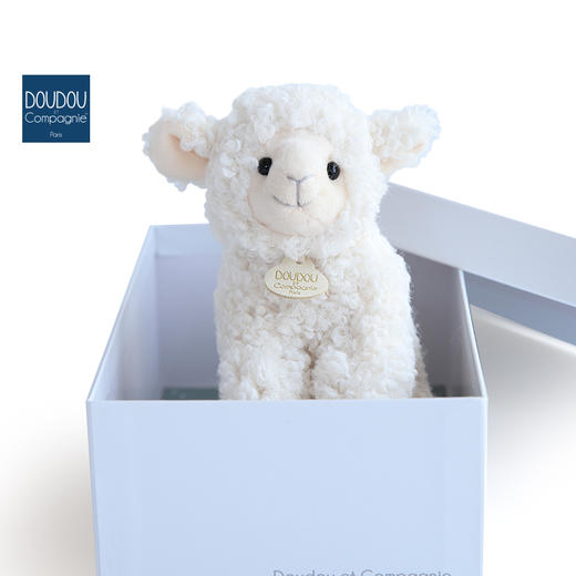 DOUDOU 复古小羊-20cm/30cm玩偶 商品图4