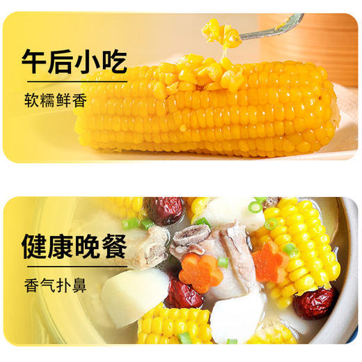 雪山有机糯玉米 商品图7