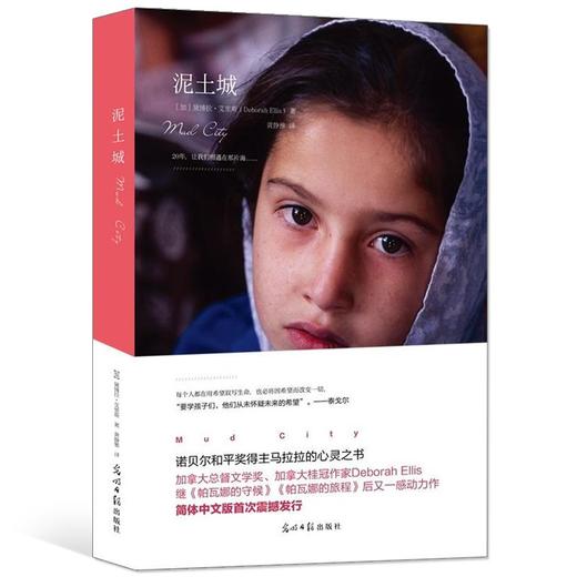 泥土城 商品图0