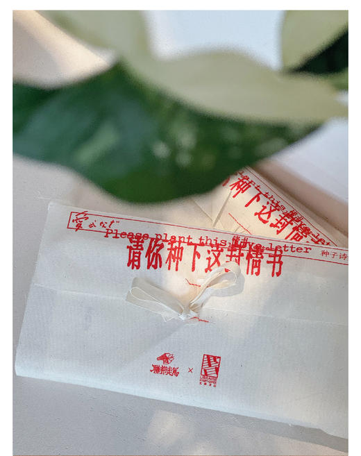 联邦走马新版种子诗集第三弹-请你种下这封情书先锋书店520合作款 商品图6