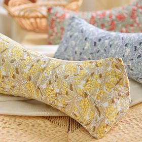 浆果系列三角颈椎枕荞麦壳枕头学生儿童睡眠护颈枕