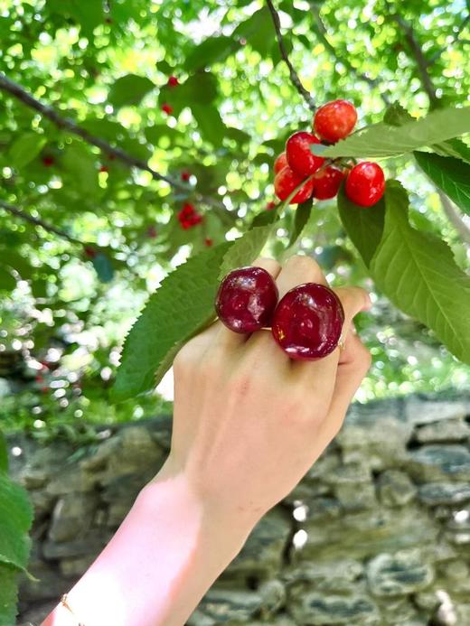 【旅游】汶川车厘子采摘+牟托羌寨一日游 商品图3