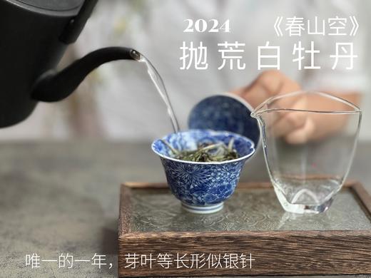 【2024春茶来了】2024抛荒白牡丹《春山空》，干茶长相酷似白毫银针，有史以来等级zui高的抛荒白牡丹 商品图10