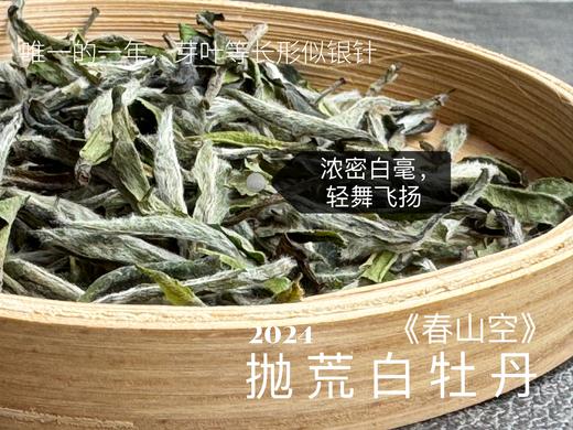 【白茶礼盒装】2024抛荒白牡丹《春山空》，干茶长相酷似白毫银针，有史以来等级zui高的抛荒白牡丹 商品图4