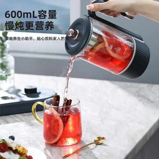 【小家电】迈卡罗MC-YS06B养生壶家用一体多功能电热煮茶器玻璃双壶烧水保温壶办公室 HF 商品图2