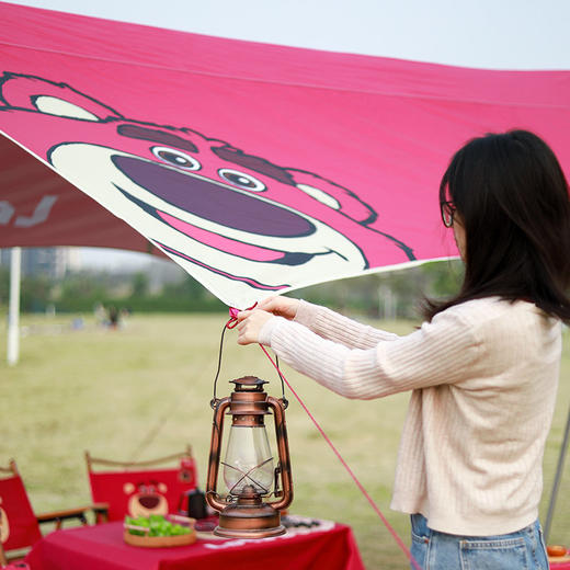 迪士尼草莓熊系列六角天幕JDFA22880-LO 商品图3