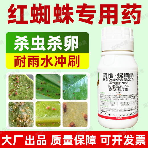 22%阿维螺螨酯大厂正品柑橘果树蔬菜红蜘蛛强力杀卵杀螨杀虫剂 商品图1