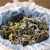 2018白牡丹散茶150g 商品缩略图8