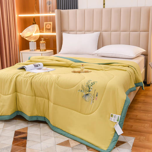 【艾草纤维夏凉被】夏季薄被子艾草被空调被夏季安睡凉感舒适 商品图3