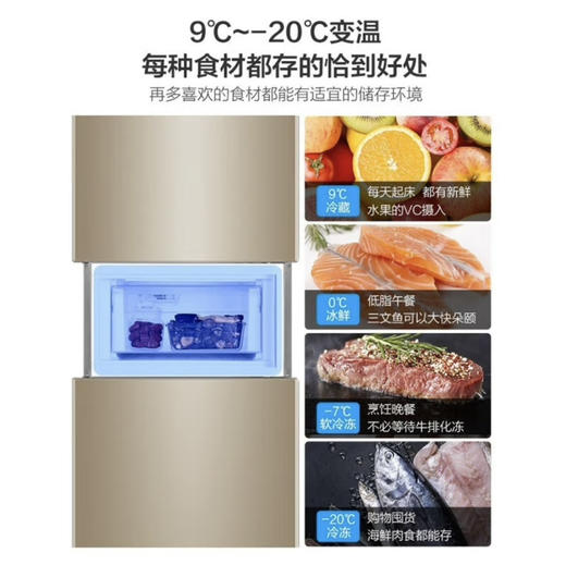 统帅（Leader）冰箱 BCD-218WLDPPU1 海尔出品 商品图11