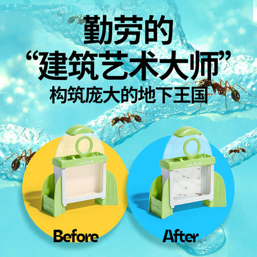 六一破价 自然教育养花 养草 养蚂蚁  盛放吧花房+蚂蚁观察基地+迷你花园种子 商品图3