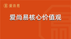 爱尚易核心价值观 商品缩略图0