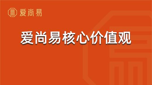 爱尚易核心价值观 商品图0