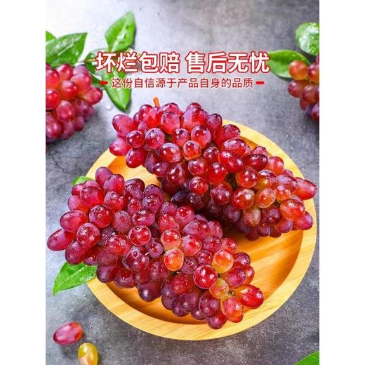【云南茉莉美人指葡萄】茉莉香葡萄 清脆多汁！口口茉莉香！色泽透亮 营养丰富！新鲜水果当季小提子玫瑰香无籽脆甜红提整箱包邮-LC24GG05 商品图3