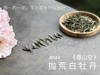 【2024春茶来了】2024抛荒白牡丹《春山空》，干茶长相酷似白毫银针，有史以来等级zui高的抛荒白牡丹（收藏装） 商品缩略图4