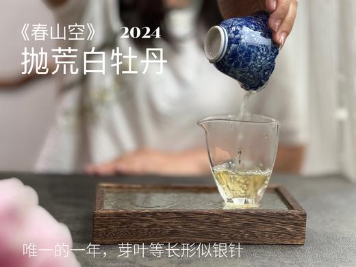 【2024春茶来了】2024抛荒白牡丹《春山空》，干茶长相酷似白毫银针，有史以来等级zui高的抛荒白牡丹 商品图12