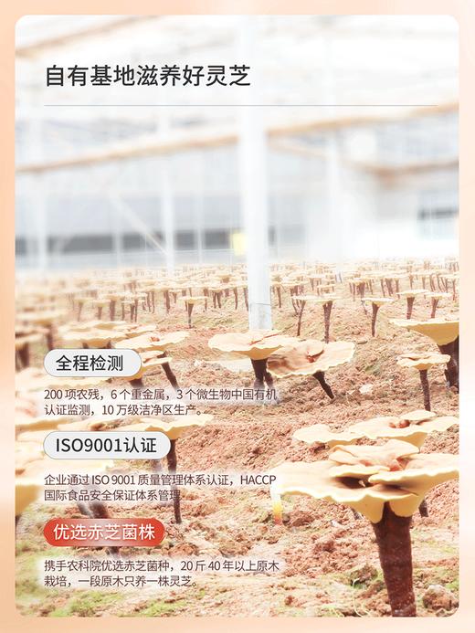青春宝灵芝五味子胶囊改善睡眠失眠助眠保健食品 商品图3