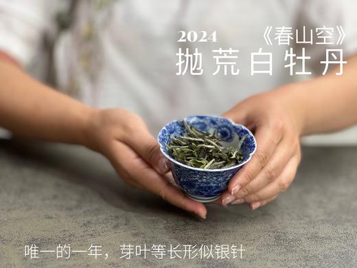 【2024春茶来了】2024抛荒白牡丹《春山空》，干茶长相酷似白毫银针，有史以来等级zui高的抛荒白牡丹 商品图9