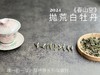 【2024春茶来了】2024抛荒白牡丹《春山空》，干茶长相酷似白毫银针，有史以来等级zui高的抛荒白牡丹 商品缩略图5