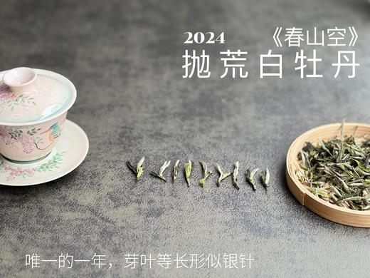 【2024春茶来了】2024抛荒白牡丹《春山空》，干茶长相酷似白毫银针，有史以来等级zui高的抛荒白牡丹 商品图5