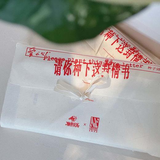 联邦走马新版种子诗集第三弹-请你种下这封情书先锋书店520合作款 商品图4