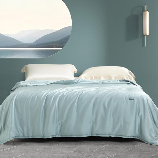 【多样屋专柜】多样屋100%天丝麻蚕丝被夏凉被空调被子双人夏季春秋可机洗夏被芯 商品图2