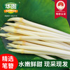 【严选】洪湖新鲜藕带现摘现发1斤装/2斤装/3斤装 （厂家直发） 商品缩略图0