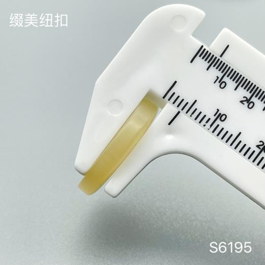 S6195(整包购买) 商品图4