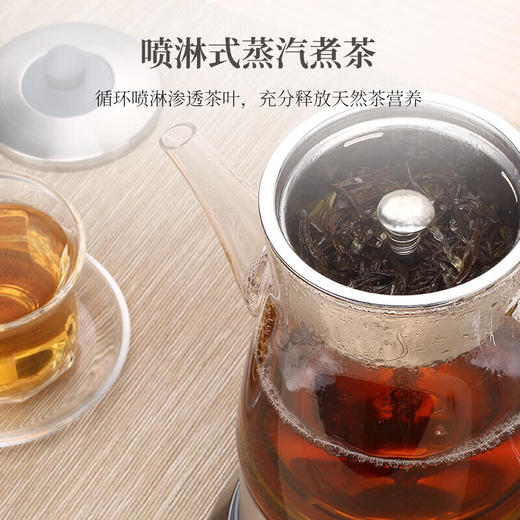 【直发】鸣盏-喷淋煮茶器  MZ8008 商品图1