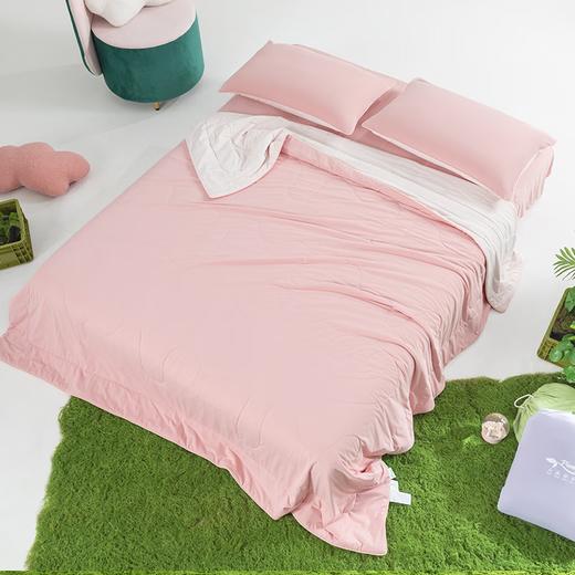 【多样屋专柜】多样屋天丝夏凉被可机洗冰丝被子被芯空调被 商品图3