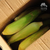 生态闽侯水果玉米 | 合作生产* Eco-corn | Coproduction 商品缩略图4