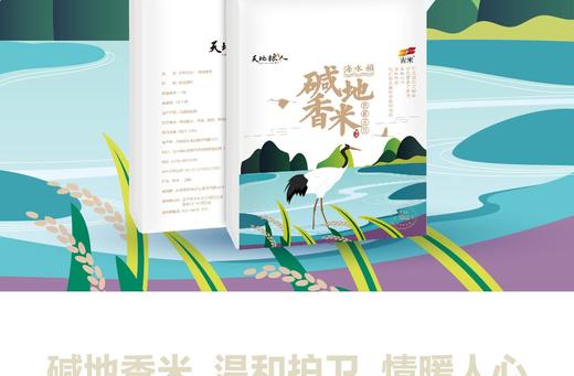 有机碱地香米2.5kg 商品图0
