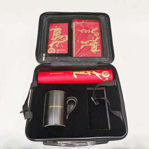 手提旅行箱2022新款化妆品整理收纳箱14寸化妆箱可爱简约 商品图8