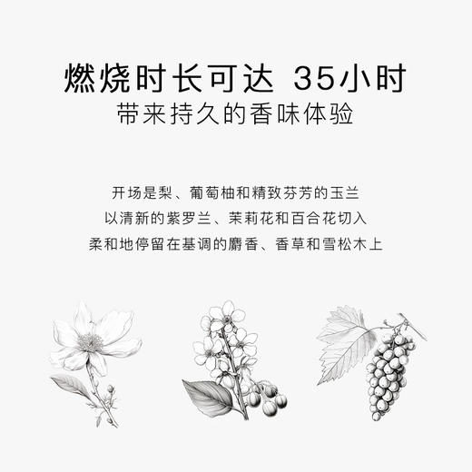 瑞典进口 SG79 斯德哥尔摩 香氛蜡烛 145g 商品图4